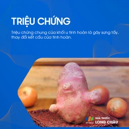 U tinh hoàn 2