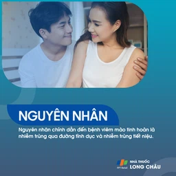 Viêm mào tinh hoàn 3
