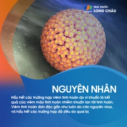 Viêm tinh hoàn 3