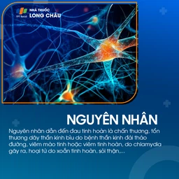 Đau tinh hoàn 3