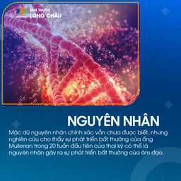 Không có âm đạo 3