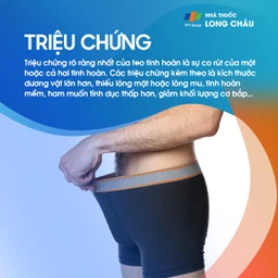 Teo tinh hoàn 2