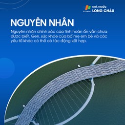 Tinh hoàn ẩn 3