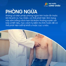 Tinh hoàn ẩn 7