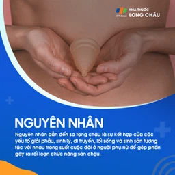 Sa tạng chậu 3
