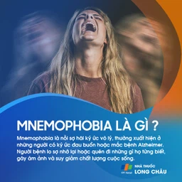 Mnemophobia 1