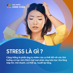 Stress 1