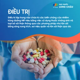 Xốp tủy thận 6