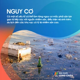 Sán lợn gạo 4