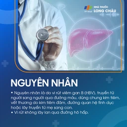 Nguyên nhân viêm gan B - Tác nhân gây nhiễm vi-rút viêm gan B và biện pháp phòng ngừa