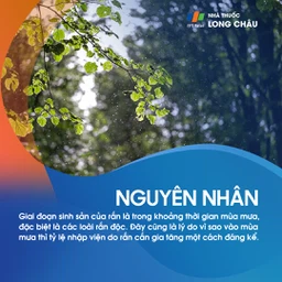 Rắn cắn 4