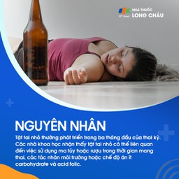 Tật tai nhỏ 3