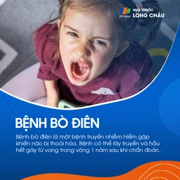 Bò điên 1