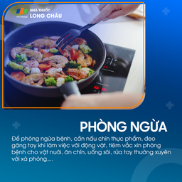 Bệnh brucella 7