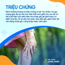 Gai khớp gối 2