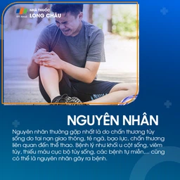 Liệt tứ chi 3