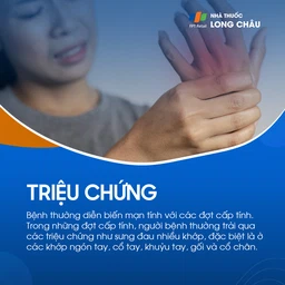 Thấp khớp 2