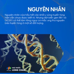 U tuyến tùng 3