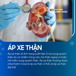 Áp xe thận 1