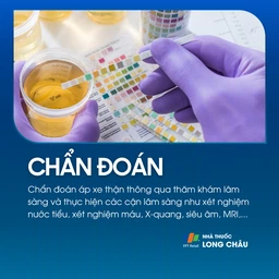 Áp xe thận 5