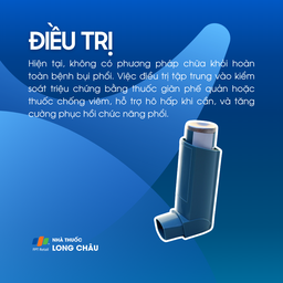 Bệnh bụi phổi 6