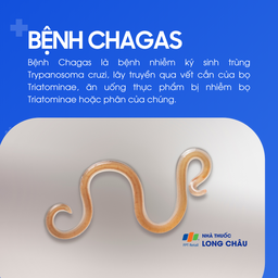 Bệnh chagas 1