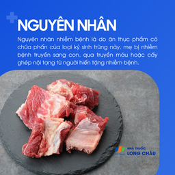 Bệnh chagas 3
