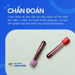 Bệnh chagas 5