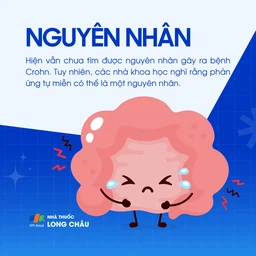 Bệnh crohn 3
