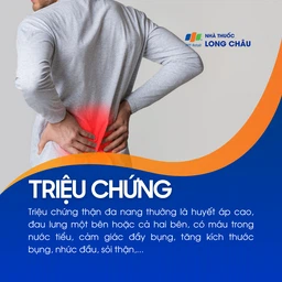 Thận đa nang 2