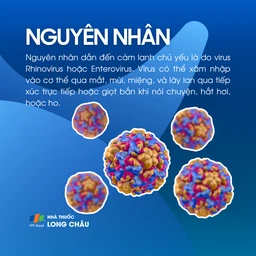 Cảm lạnh 3