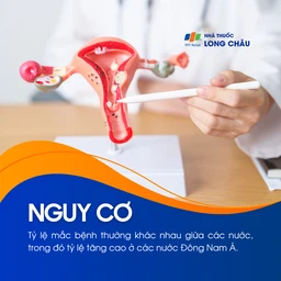 Chửa trứng 4
