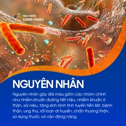 Đái máu 4