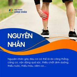 Đau cơ 3