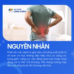 Đau cột sống 3