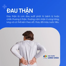 đau thận 1