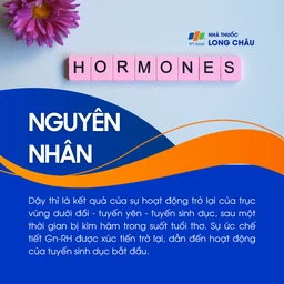 Dậy thì 3