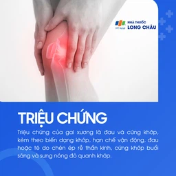 Gai xương 2