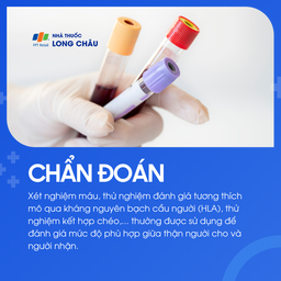 Ghép thận 5