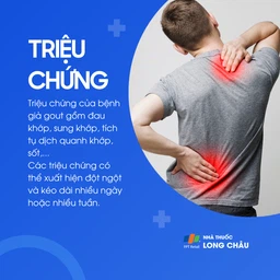 Giả gout 2