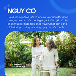 Giả gout 4