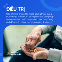 Giả gout 6