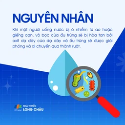 Giun rồng 3