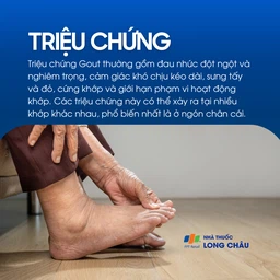 Gout 2