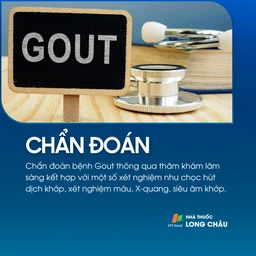 Gout 5
