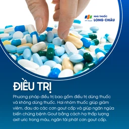 Gout 6