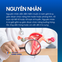 Hiếm muộn 3