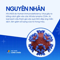 HIV 3