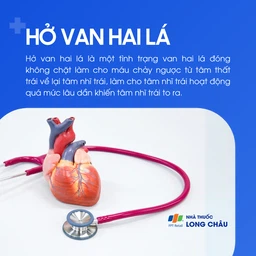 Hở van hai lá 1