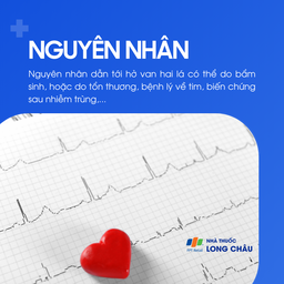 Hở van hai lá 3